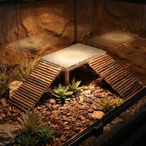 Bearded dragon basking table - bearded,